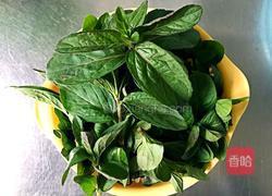 清香薄荷粥的做法图解1