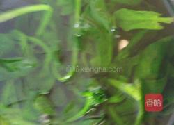 菠菜丸子的做法图解3