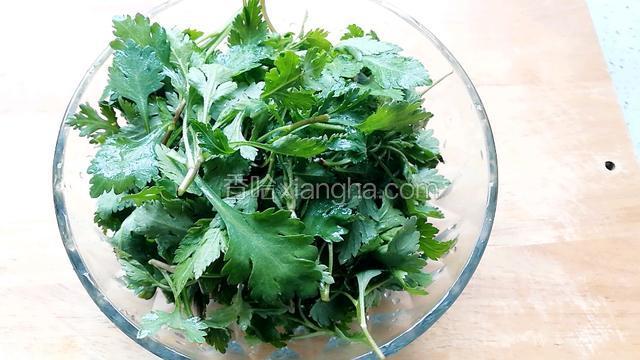 菊花脑洗净备用。