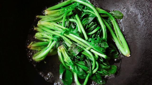 菠菜洗干净用开水煮一分钟