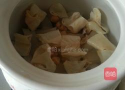 海底椰花胶响螺排骨汤的做法图解4