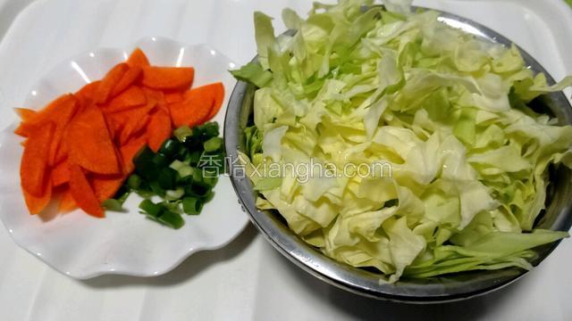 把圆白菜切成细丝，胡萝卜切片，葱切葱花。