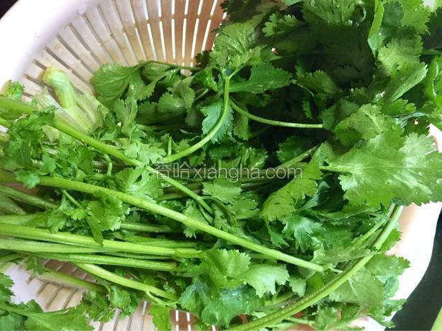 将香菜洗净沥水