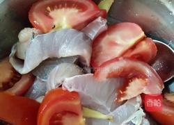 番茄炖鱼的做法图解3