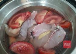 番茄炖鱼的做法图解4