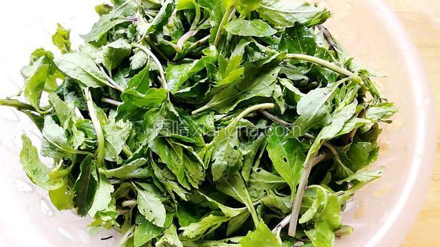 枸杞头洗净备用。
