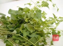 打碗花野菜团子的做法图解1