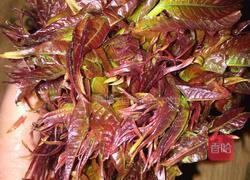 香椿煎蛋的做法图解1