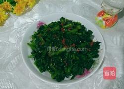 辣椒油拌菠菜的做法图解4