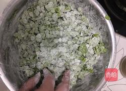 蒸榆钱的做法图解5