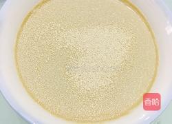 胡萝卜肉包子的做法图解2