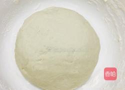 梅菜牛肉馅大汤包的做法图解3