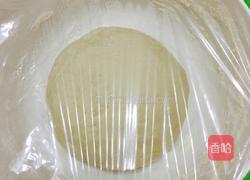 胡萝卜肉包子的做法图解5