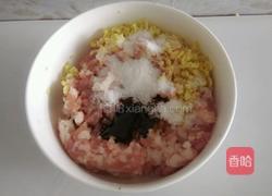饺子……苜蓿猪肉馅的做法图解3