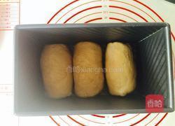 酸奶吐司（中种法）的做法图解7