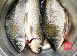 鲫鱼豆腐汤的做法图解1