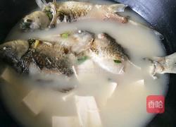 鲫鱼豆腐汤的做法图解7