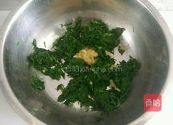 凉拌苜蓿的做法图解3