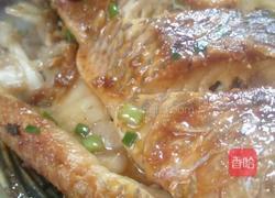 香煎罗非鱼的做法图解7
