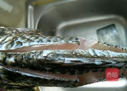 清蒸罗非鱼的做法图解2