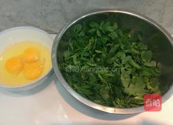 苜蓿炒鸡蛋的做法图解1