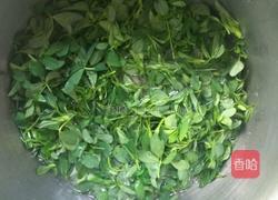 苜蓿炒鸡蛋的做法图解2