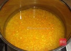 橙皮酱的做法图解8