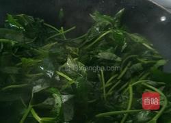清炒番薯叶的做法图解4