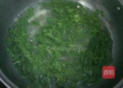 苜蓿鸡蛋饼的做法图解2