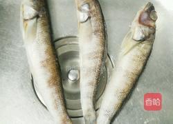 红烧南极冰鱼的做法图解1