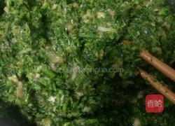 苜蓿大肉饺子的做法图解3