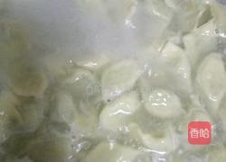 苜蓿大肉饺子的做法图解5