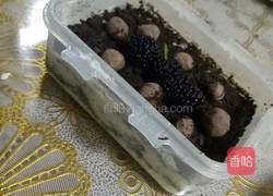 提拉米苏（瘦身版）的做法图解9