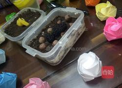 提拉米苏（瘦身版）的做法图解14