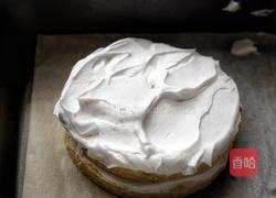 简单免打发的 桃花香草裸蛋糕的做法图解17