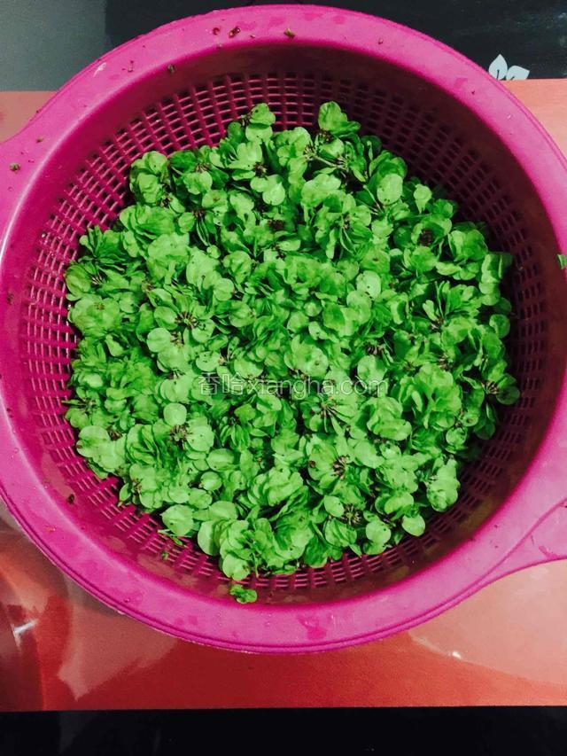 反复用清水冲洗，最后盐水浸泡二十分钟，捞出控出水分，半干即可