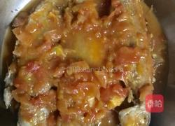 蕃茄红衫鱼的做法图解8