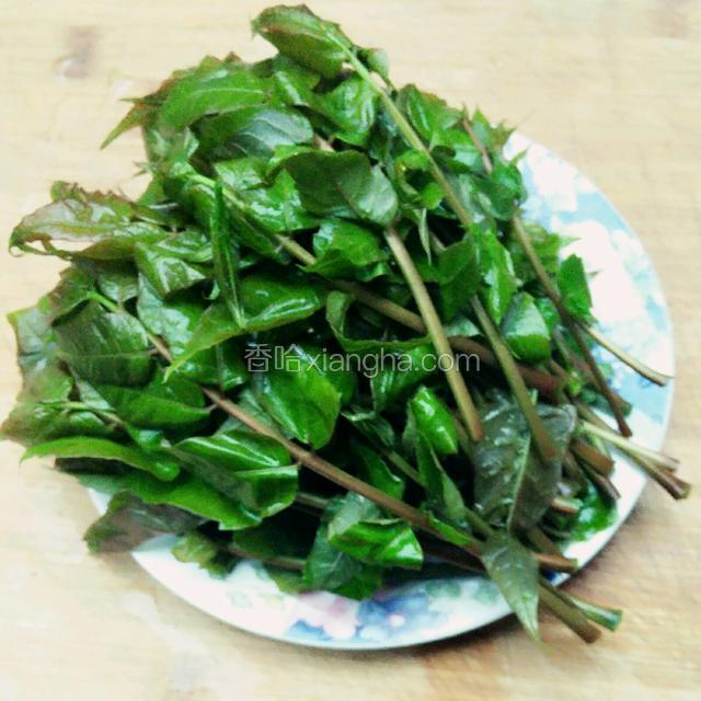 香椿去掉根部，清洗干净