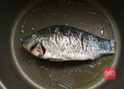 鲫鱼豆腐冬瓜汤的做法图解4