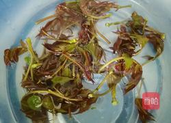 爆腌儿香椿的做法图解1