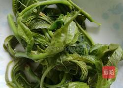 爆腌儿香椿的做法图解3