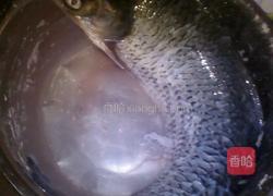 酸辣豆腐鱼的做法图解1