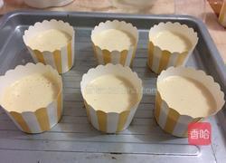 蔓越莓纸杯蛋糕的做法图解10