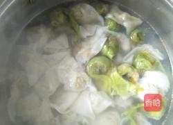紫菜虾皮小馄饨的做法图解4