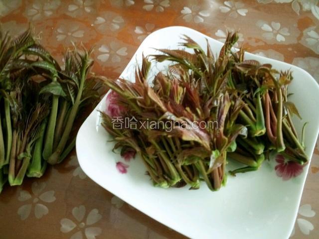 剩下的一半香椿烫水捞出放盘，加盐拌均匀，