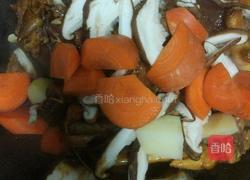 胡萝卜土豆鸡块的做法图解5