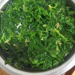 荠荠菜饺子