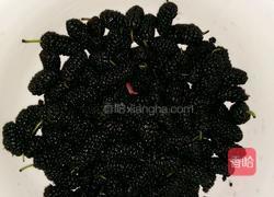 桑椹果汁的做法图解1