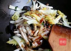 蟹味菇娃娃菜的做法图解5