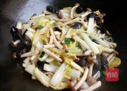 蟹味菇娃娃菜的做法图解6